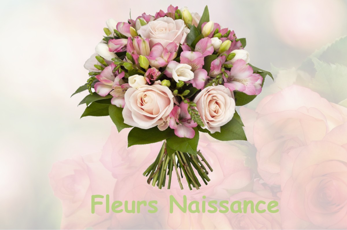 fleurs naissance MARLY-SOUS-ISSY